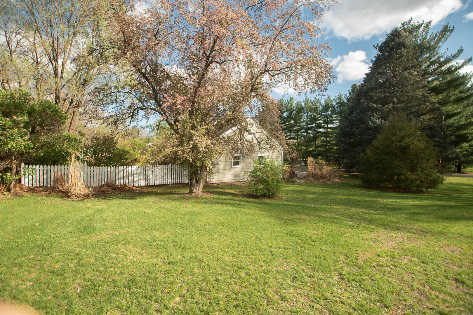 3868 Ogle Street Dixon, IL 61021 - Photo 13 of 49 a view of a trees in a yard