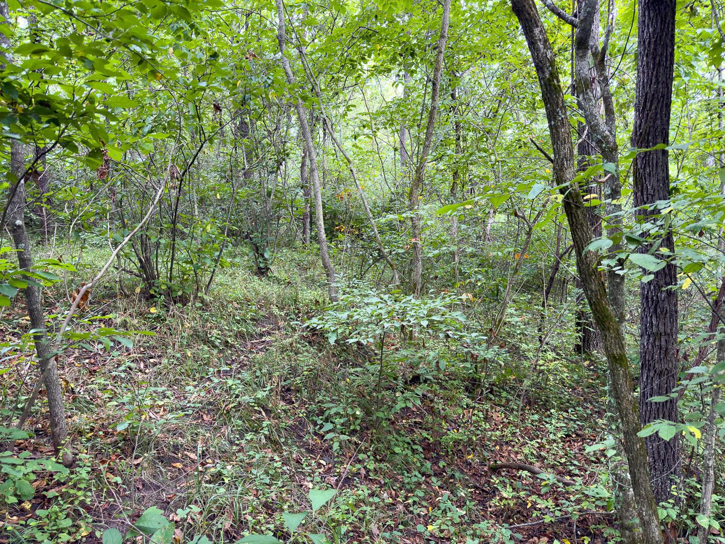 0 East Sand Ridge Road, Unit 338 Albany, OH 45710 - Photo 25 of 30 25-0 Sand Ridge Rd Ground-19