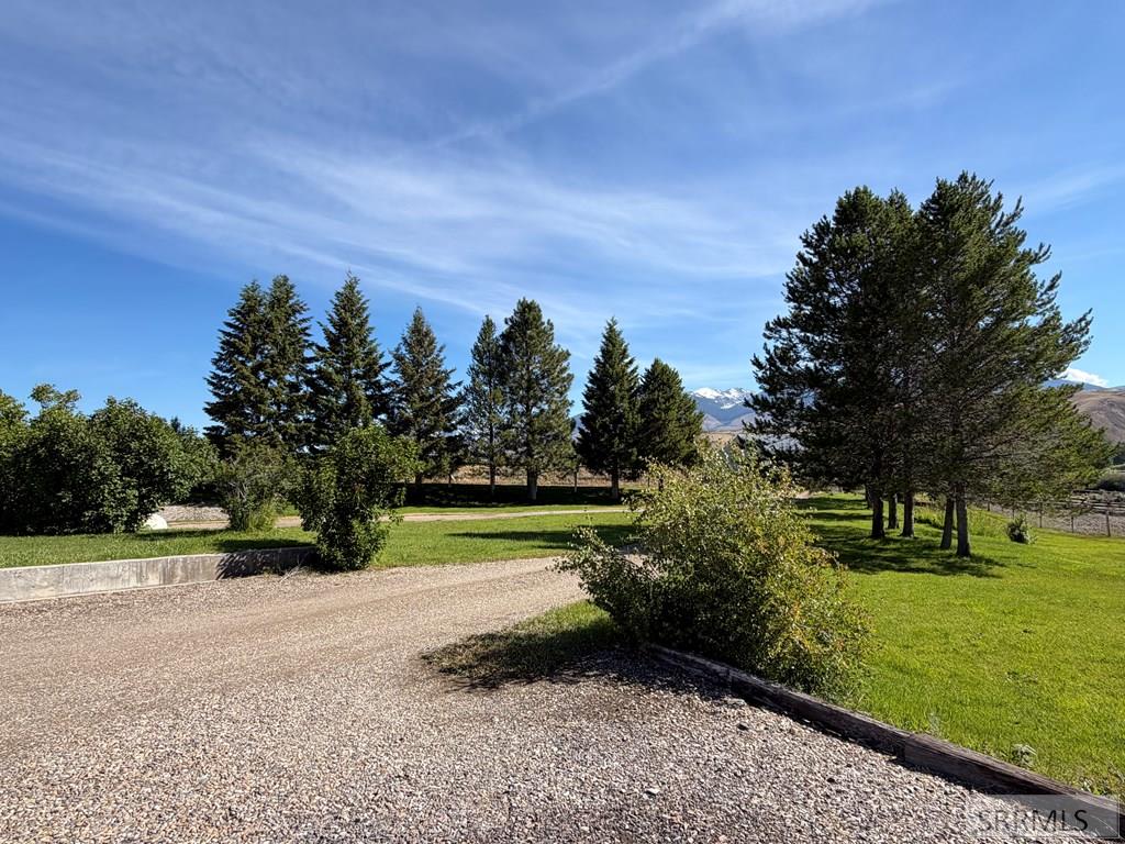 32 Haynes Creek Road Salmon, ID 83467 - Photo 59 of 59