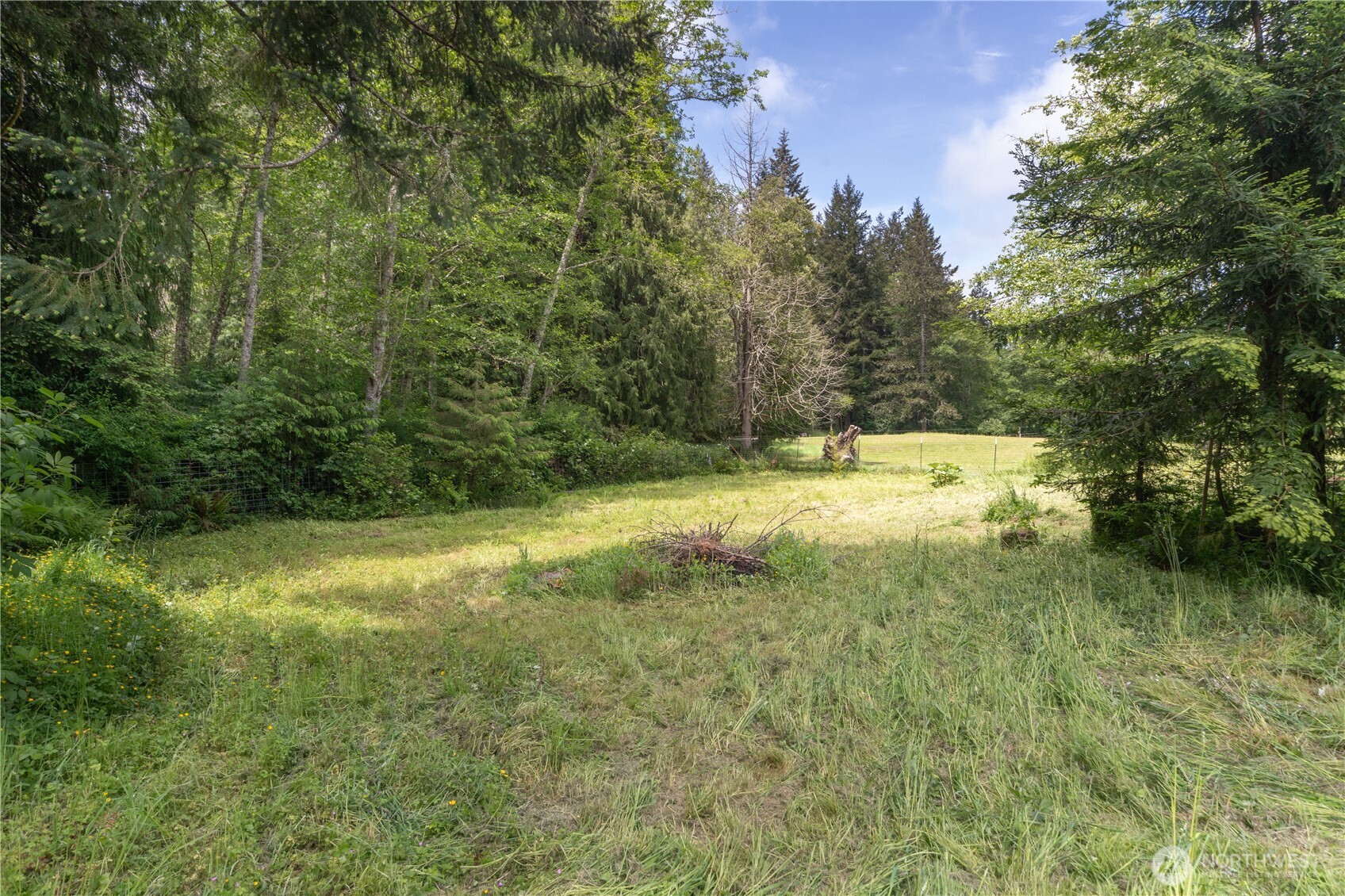 290 Werner Road Port Ludlow, WA 98365 - Photo 37 of 40 a view of a yard with a tree