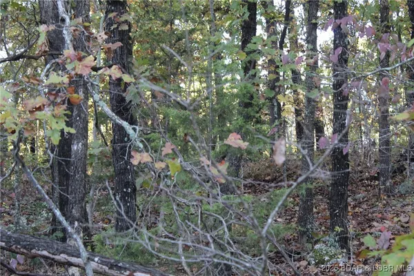 $4,500 | Tbd Apache Lane, Rocky Mount, MO 65072