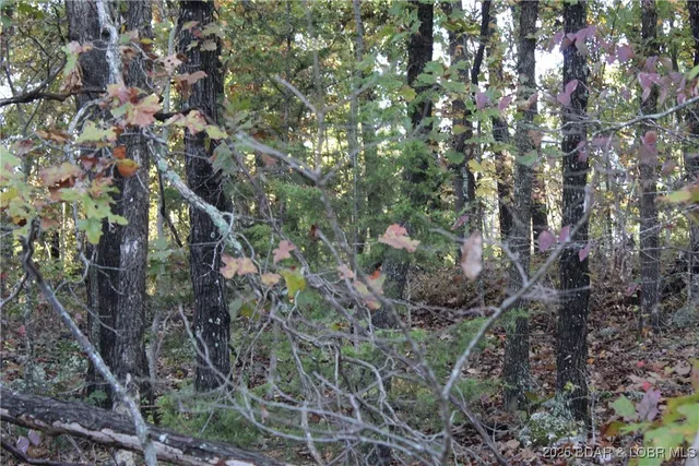 $4,500 | Tbd Apache Lane, Rocky Mount, MO 65072