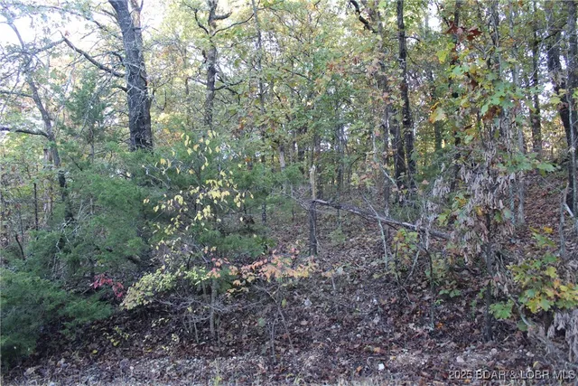 $4,500 | Tbd Apache Lane, Rocky Mount, MO 65072