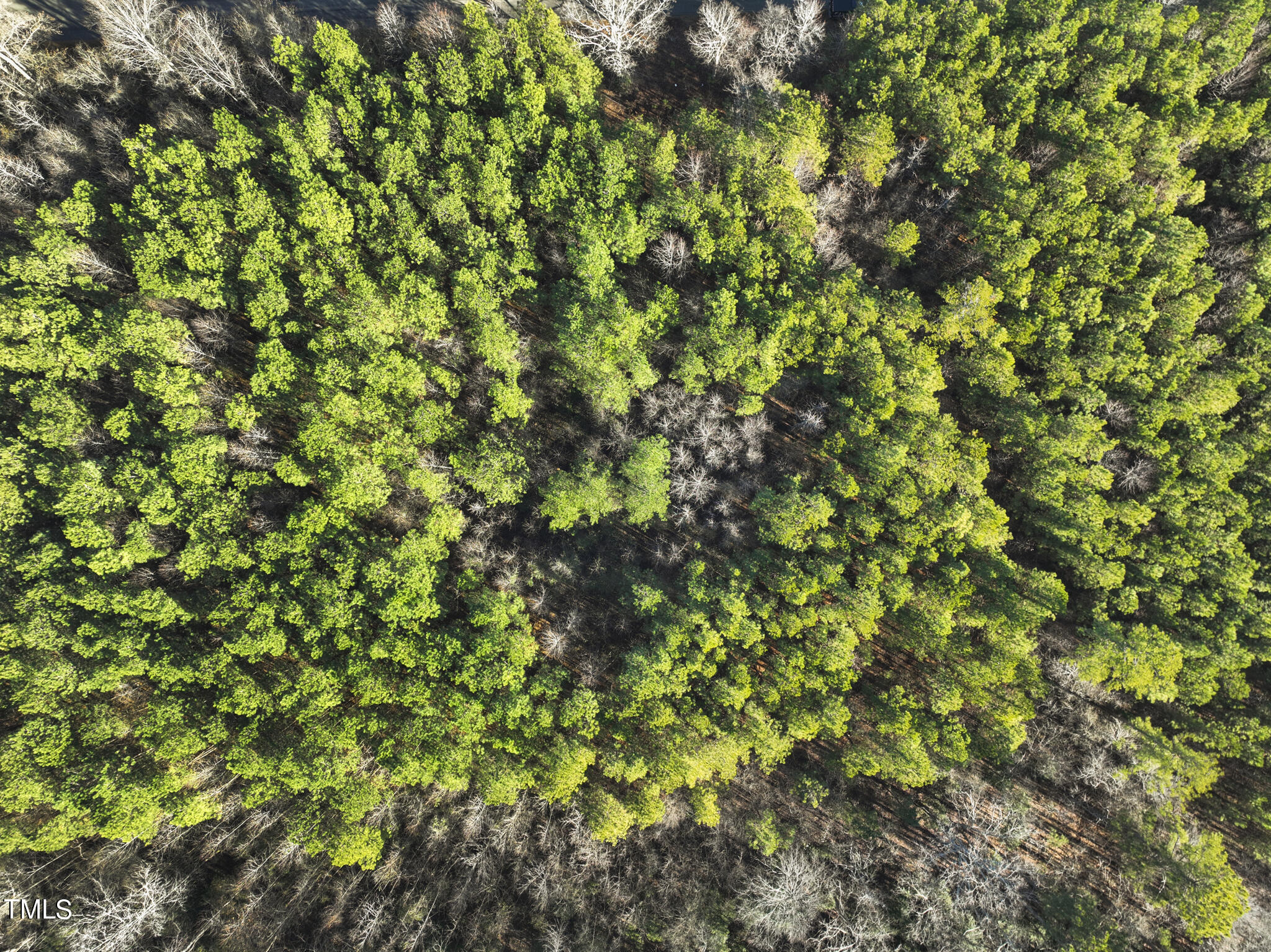 DJI_0165