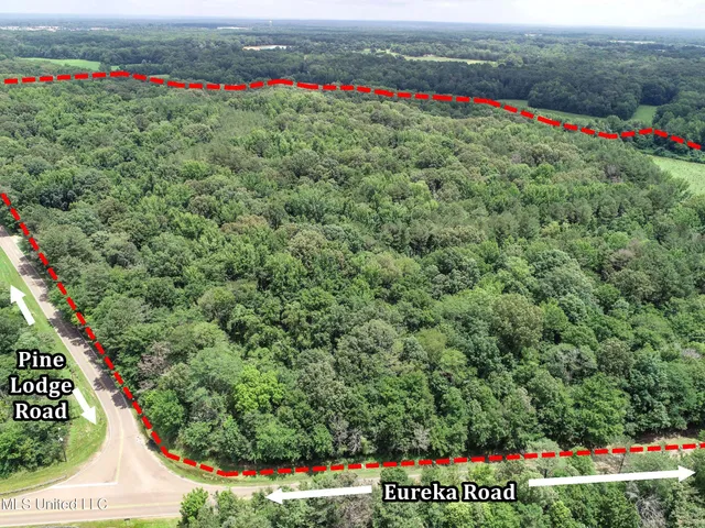 $688,880 | Pine Lodge Road Road, Batesville, MS 38606