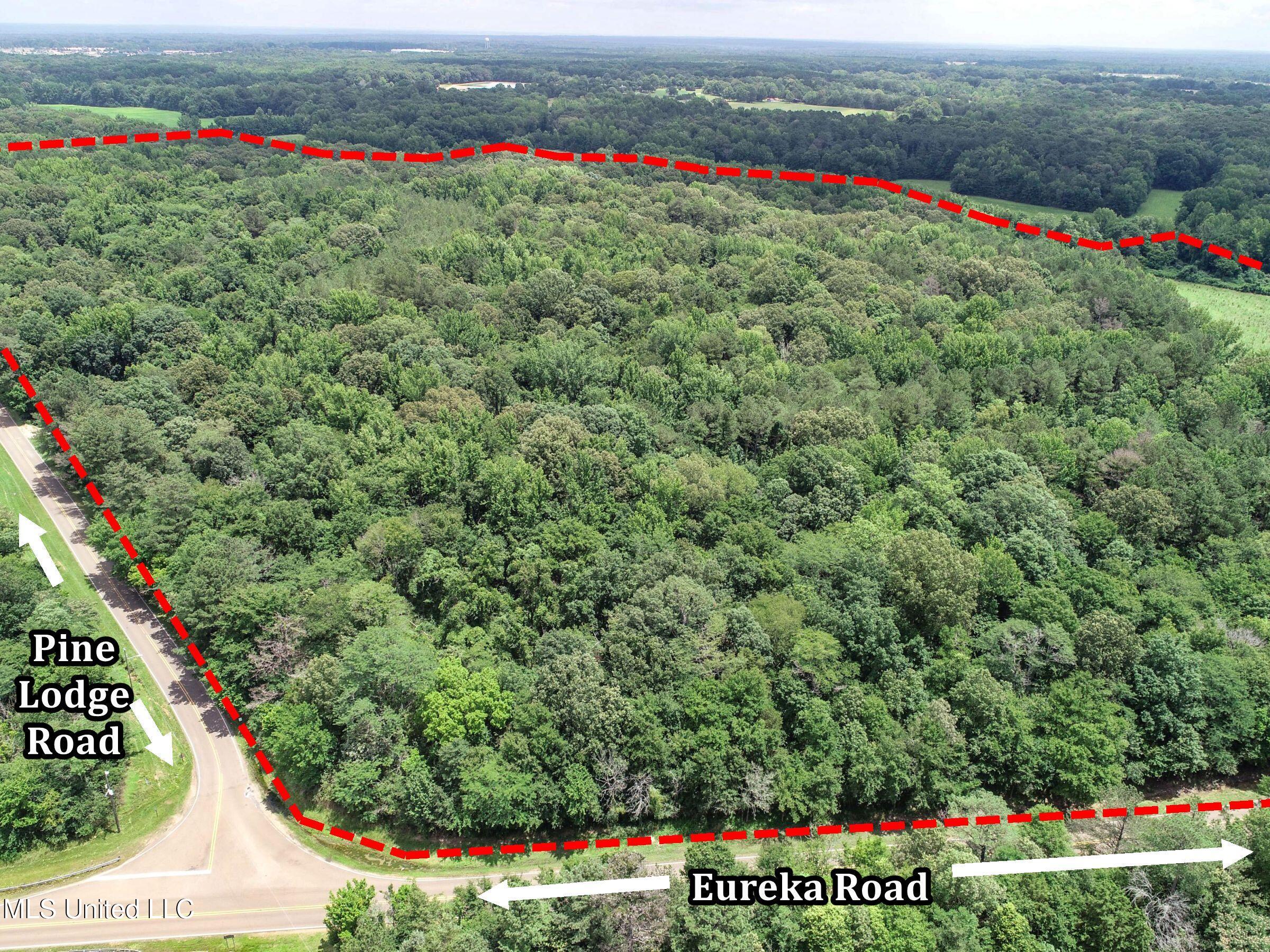 Pine Lodge Road Road Batesville, MS 38606 - Photo 11 of 99 3pleur34b
