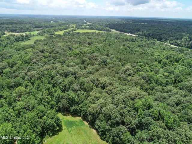 $688,880 | Pine Lodge Road Road, Batesville, MS 38606