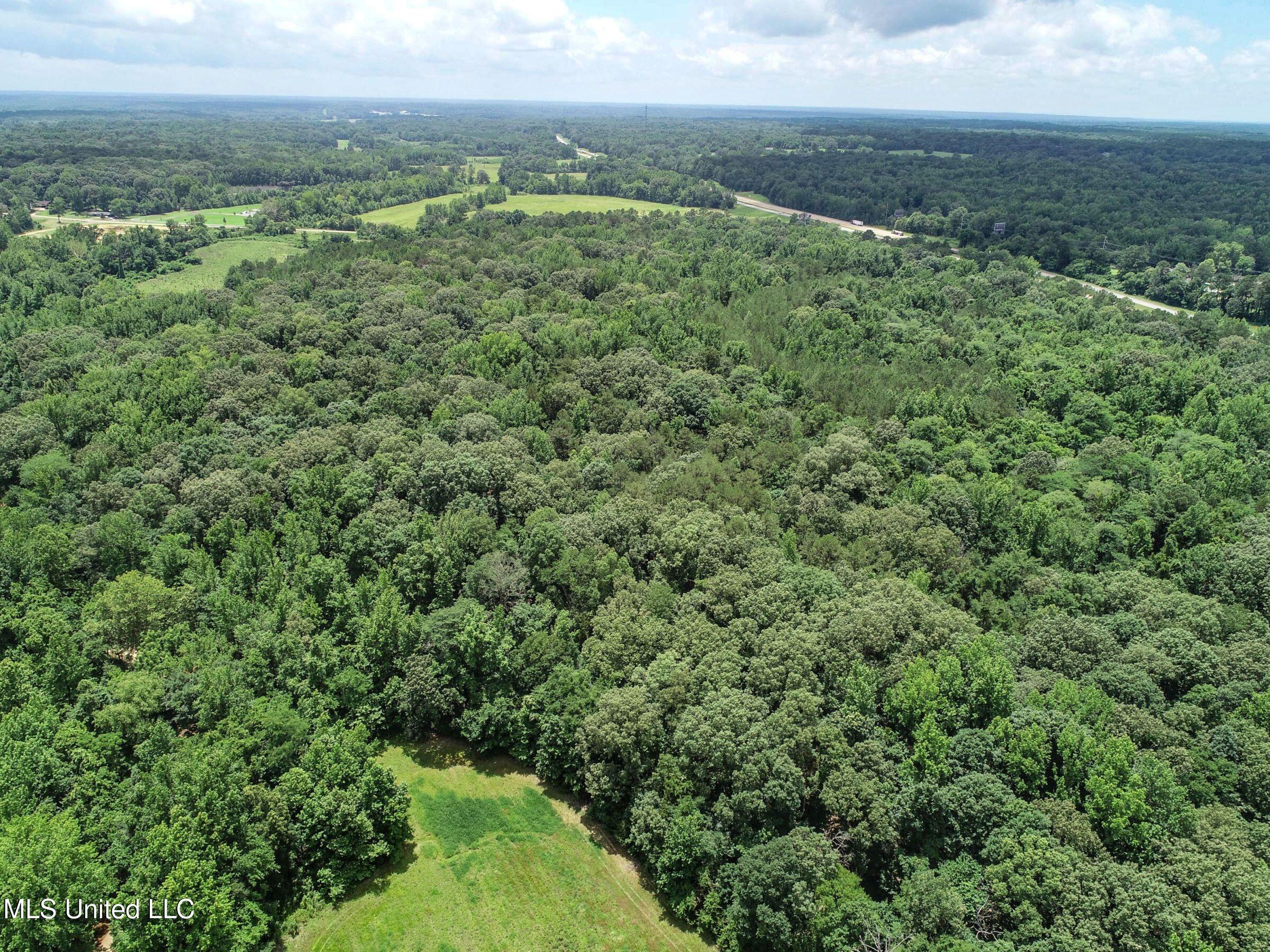 Pine Lodge Road Road Batesville, MS 38606 - Photo 12 of 99 3pleur35