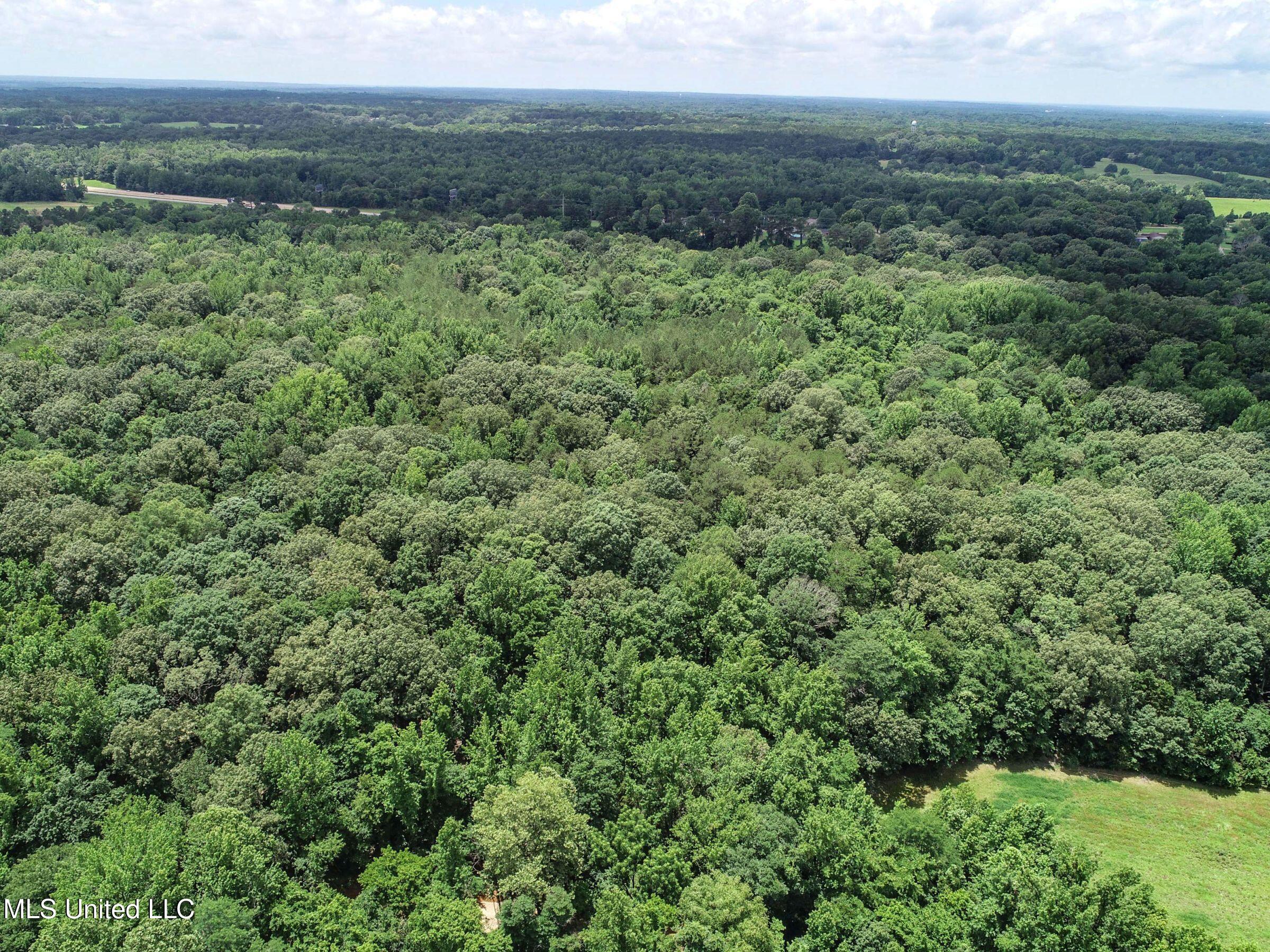 Pine Lodge Road Road Batesville, MS 38606 - Photo 13 of 99 3pleur37