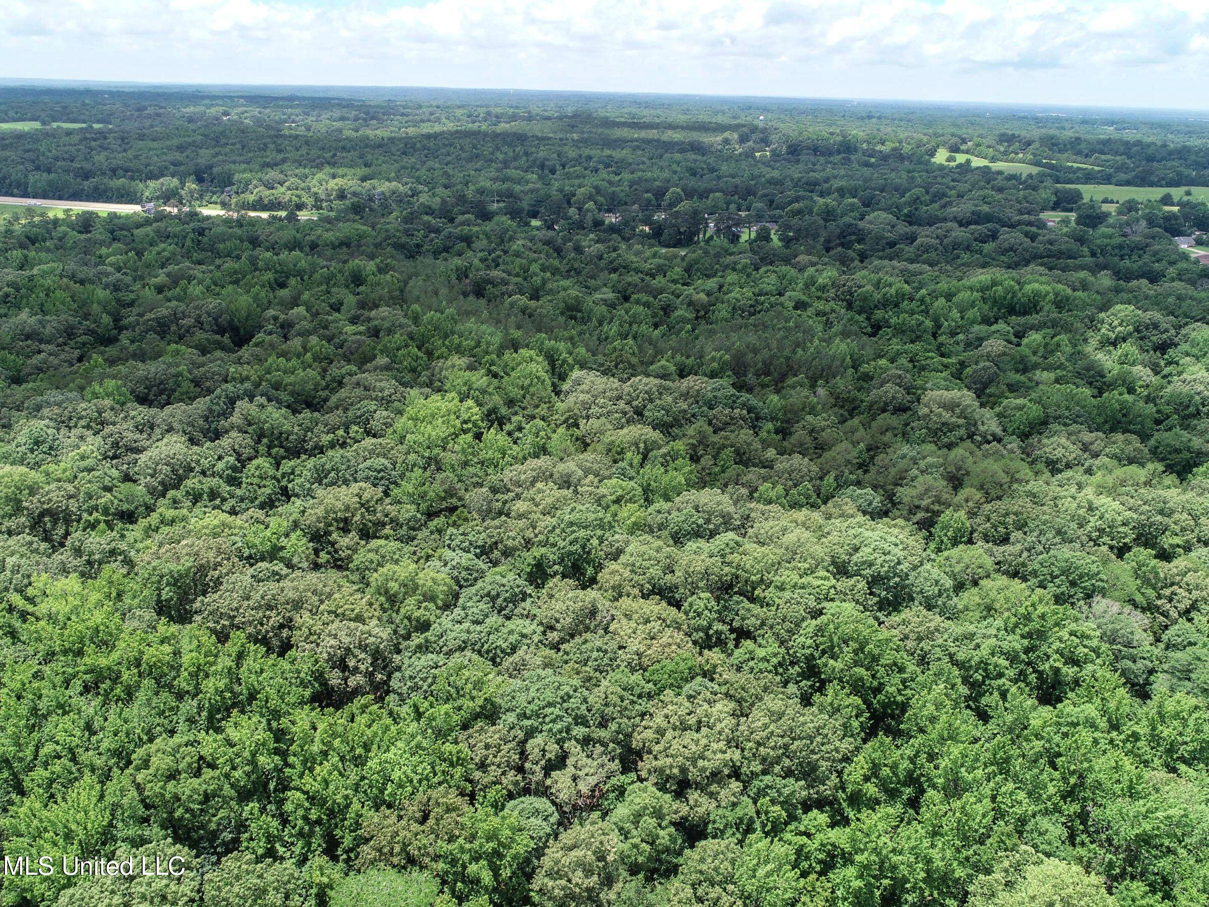 Pine Lodge Road Road Batesville, MS 38606 - Photo 15 of 99 3pleur39