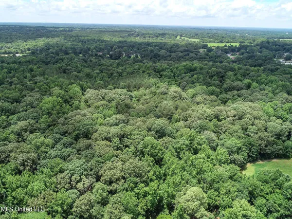 $688,880 | Pine Lodge Road Road, Batesville, MS 38606