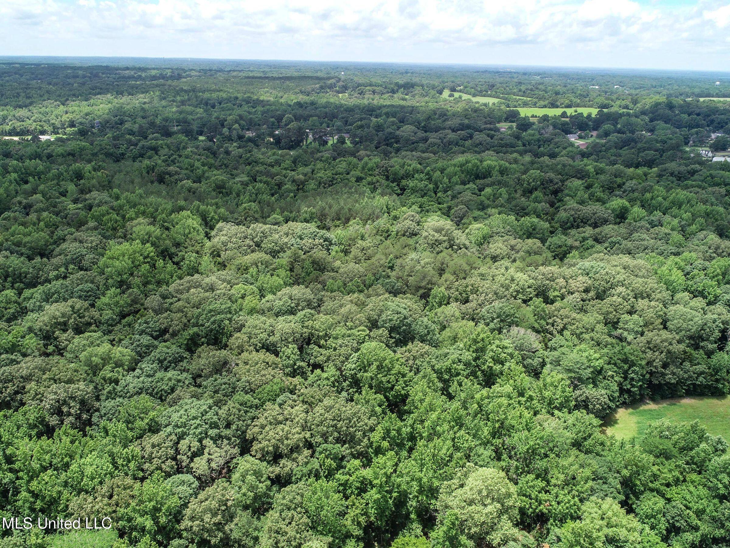 Pine Lodge Road Road Batesville, MS 38606 - Photo 17 of 99 3pleur41