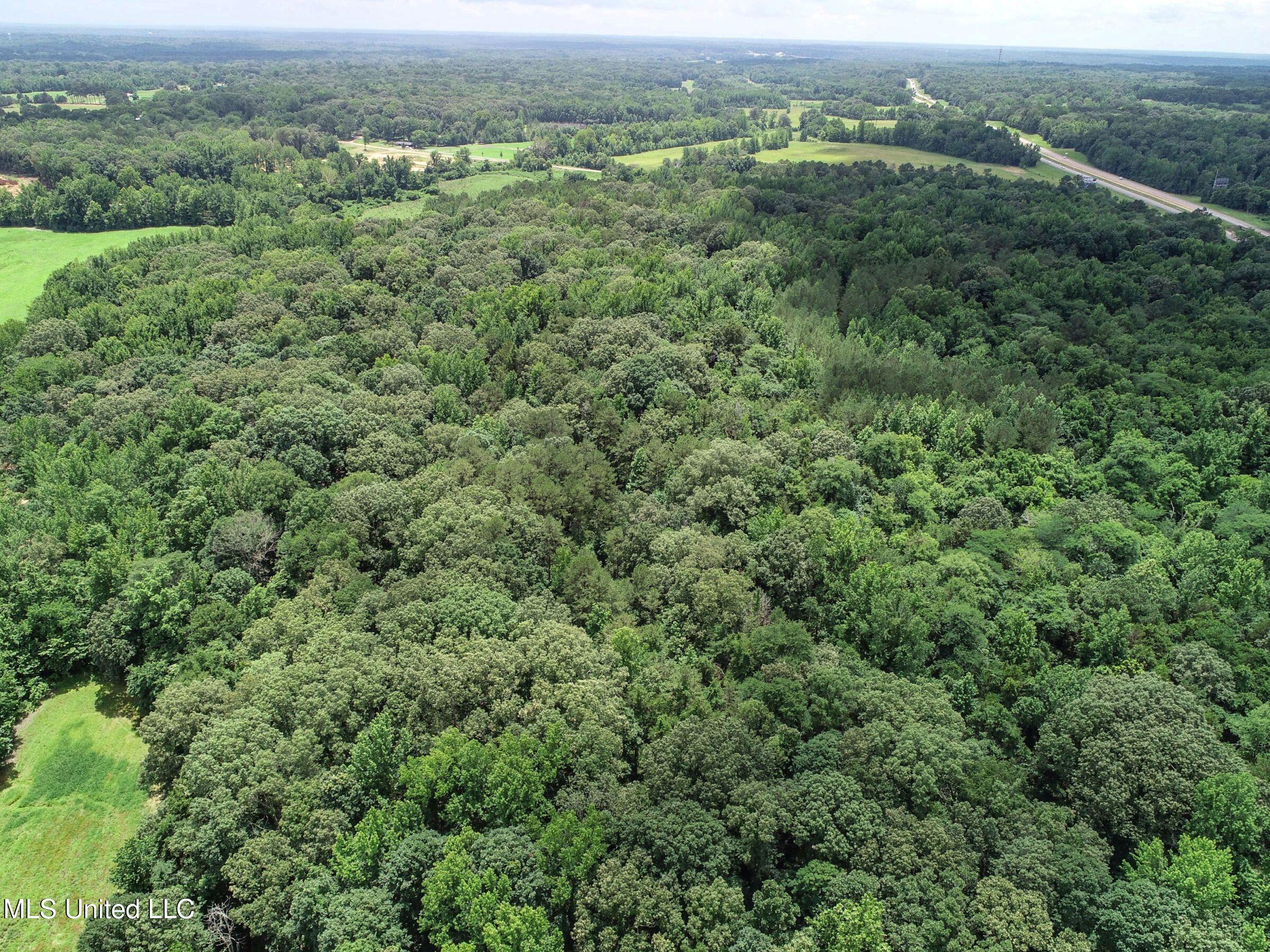 Pine Lodge Road Road Batesville, MS 38606 - Photo 18 of 99 3pleur36