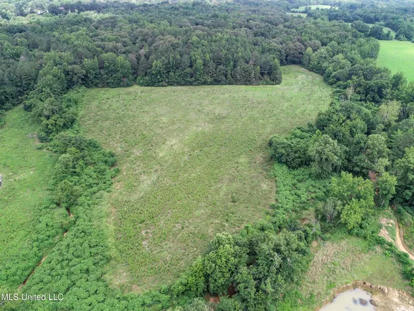 $688,880 | Pine Lodge Road Road, Batesville, MS 38606