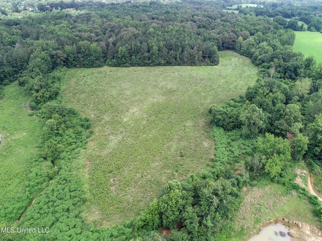 $688,880 | Pine Lodge Road Road, Batesville, MS 38606