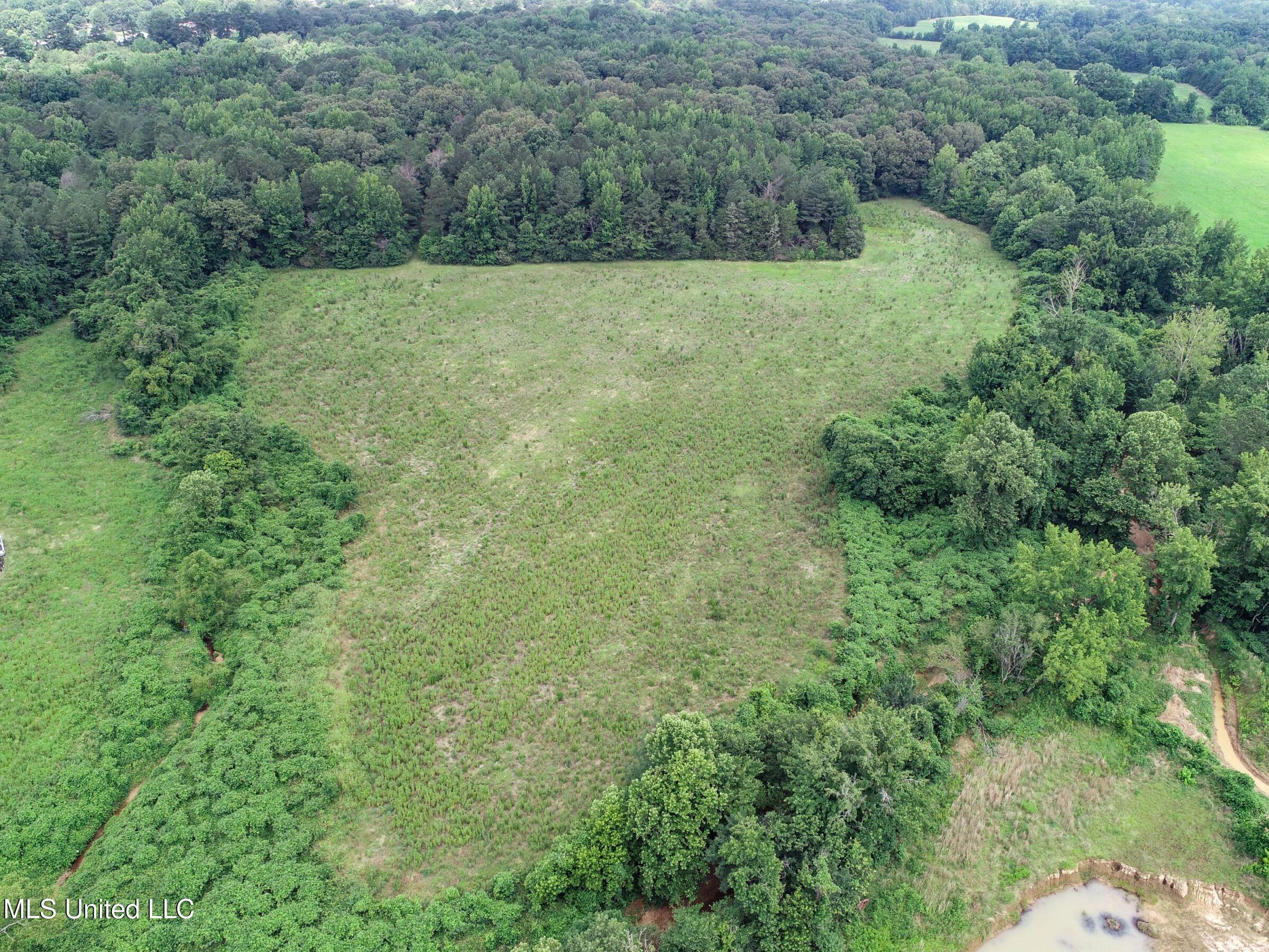 Pine Lodge Road Road Batesville, MS 38606 - Photo 22 of 99 3pleur8