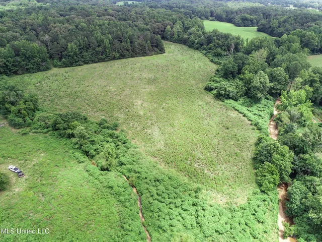 $688,880 | Pine Lodge Road Road, Batesville, MS 38606