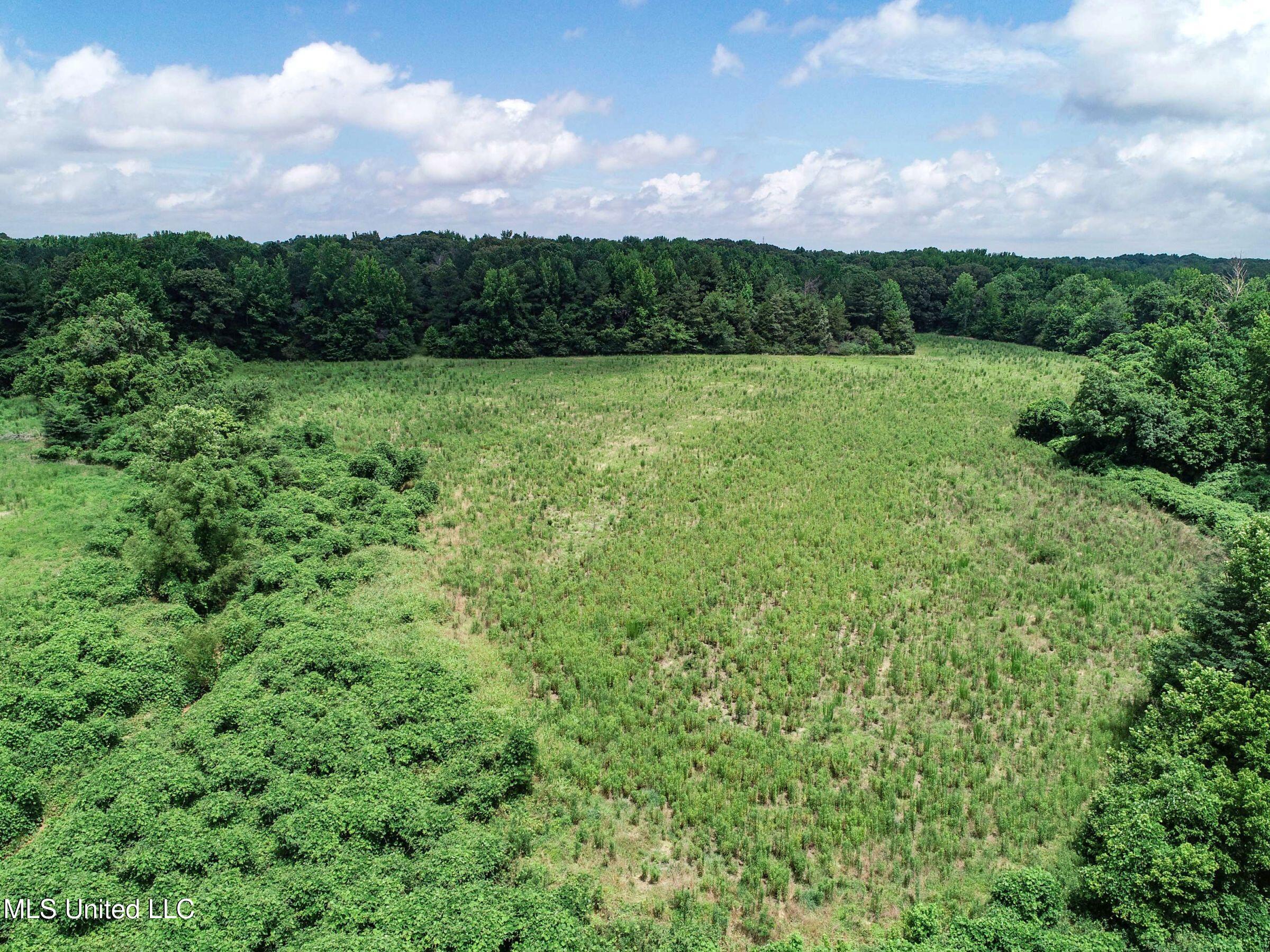 Pine Lodge Road Road Batesville, MS 38606 - Photo 24 of 99 3pleur10