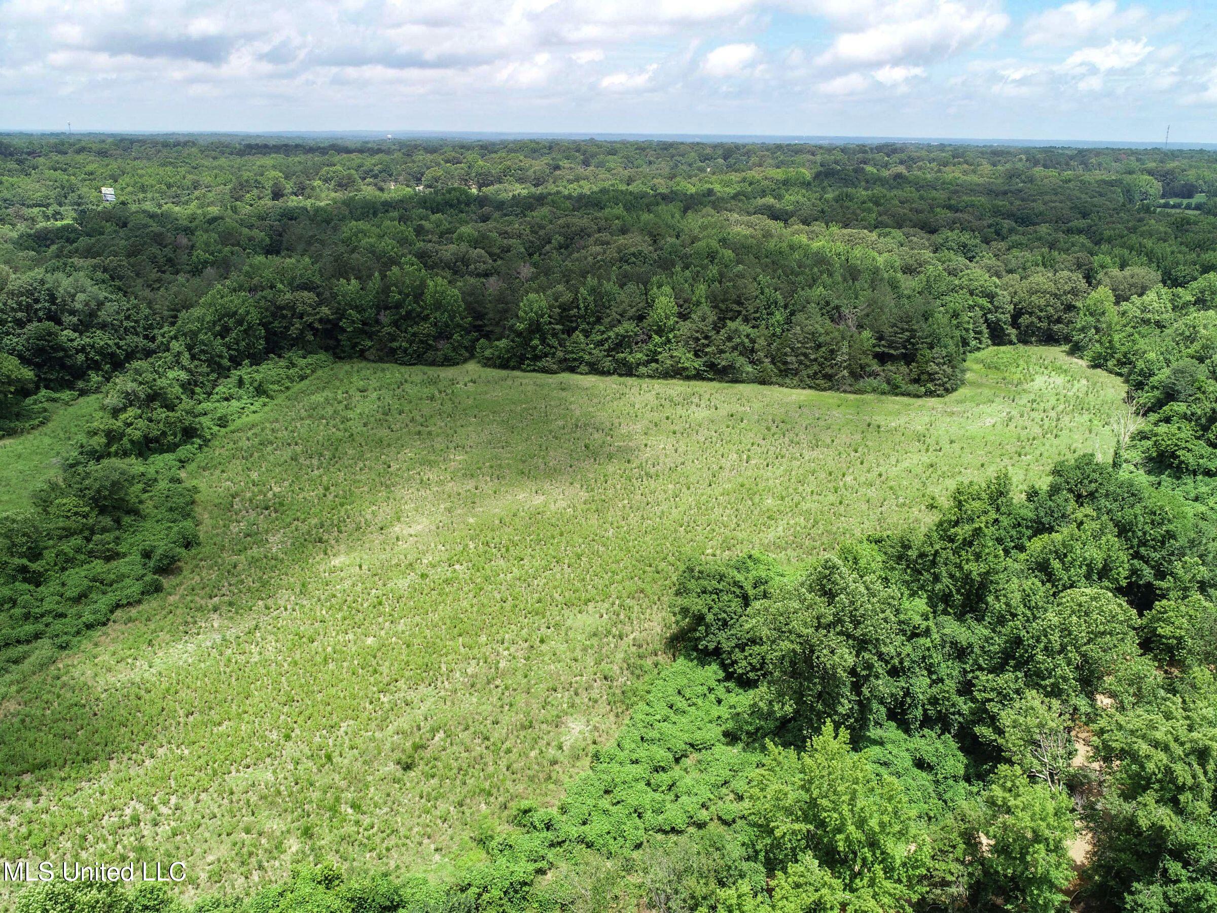 Pine Lodge Road Road Batesville, MS 38606 - Photo 25 of 99 3pleur11