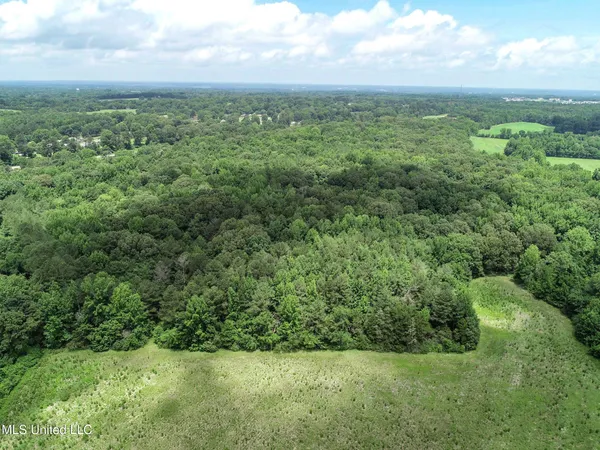 $688,880 | Pine Lodge Road Road, Batesville, MS 38606