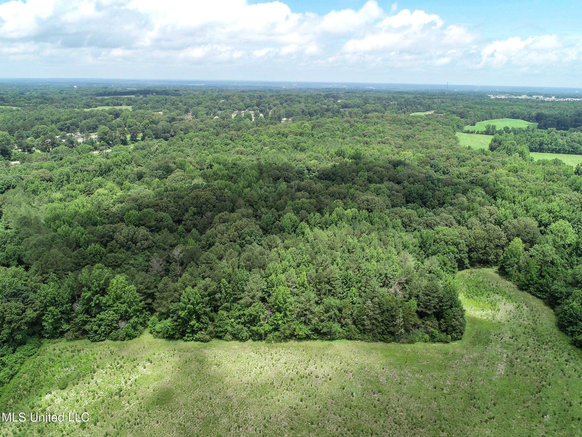 Pine Lodge Road Road Batesville, MS 38606 - Photo 26 of 99 3pleur12