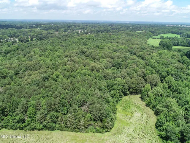 $688,880 | Pine Lodge Road Road, Batesville, MS 38606