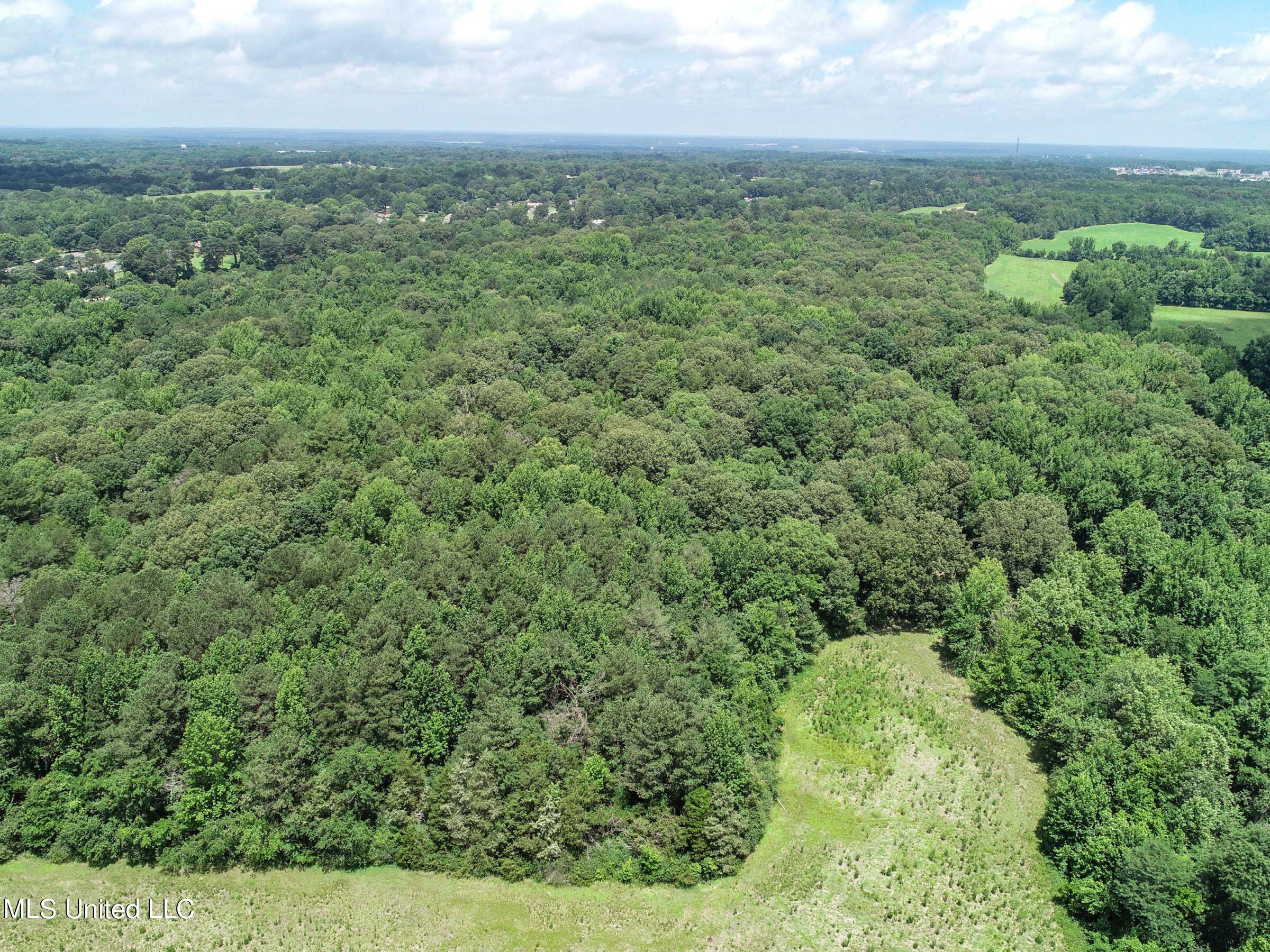 Pine Lodge Road Road Batesville, MS 38606 - Photo 27 of 99 3pleur13