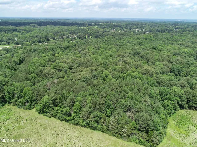 $688,880 | Pine Lodge Road Road, Batesville, MS 38606