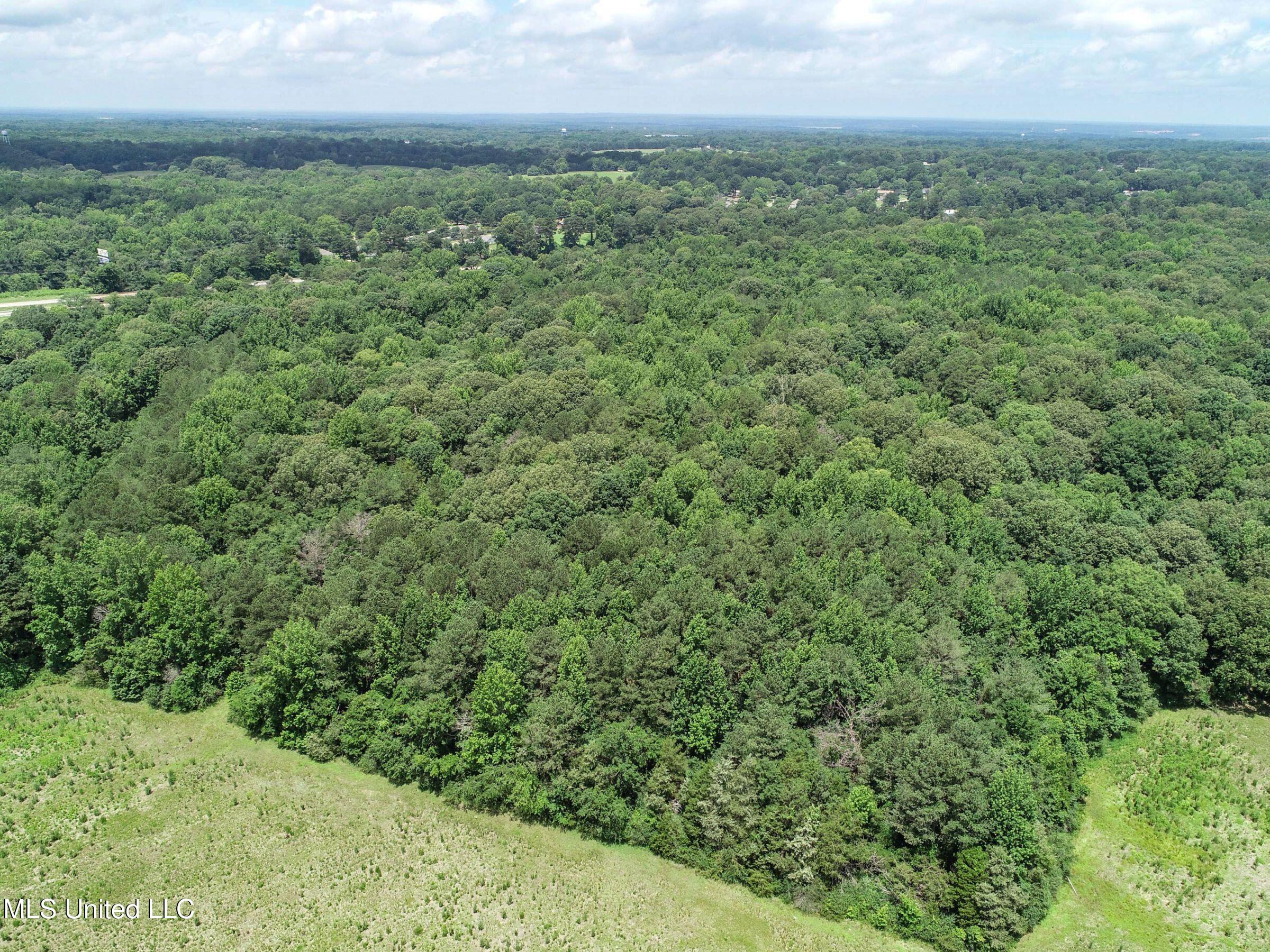 Pine Lodge Road Road Batesville, MS 38606 - Photo 28 of 99 3pleur14