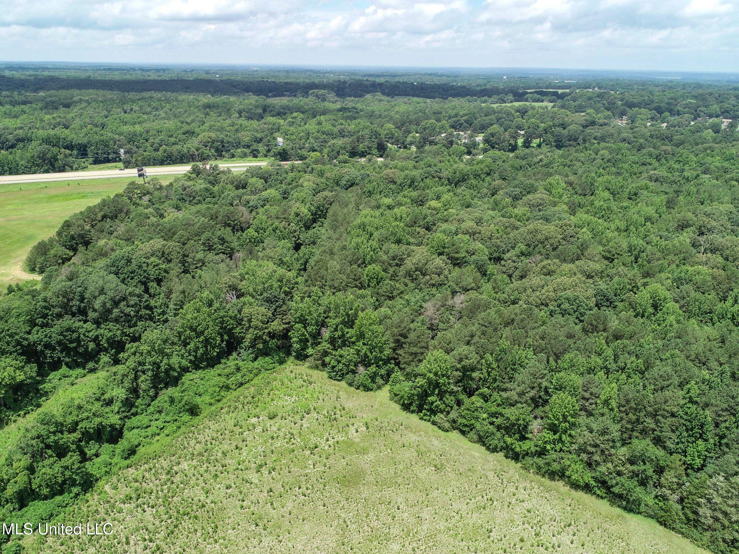 Pine Lodge Road Road Batesville, MS 38606 - Photo 29 of 99 3pleur15