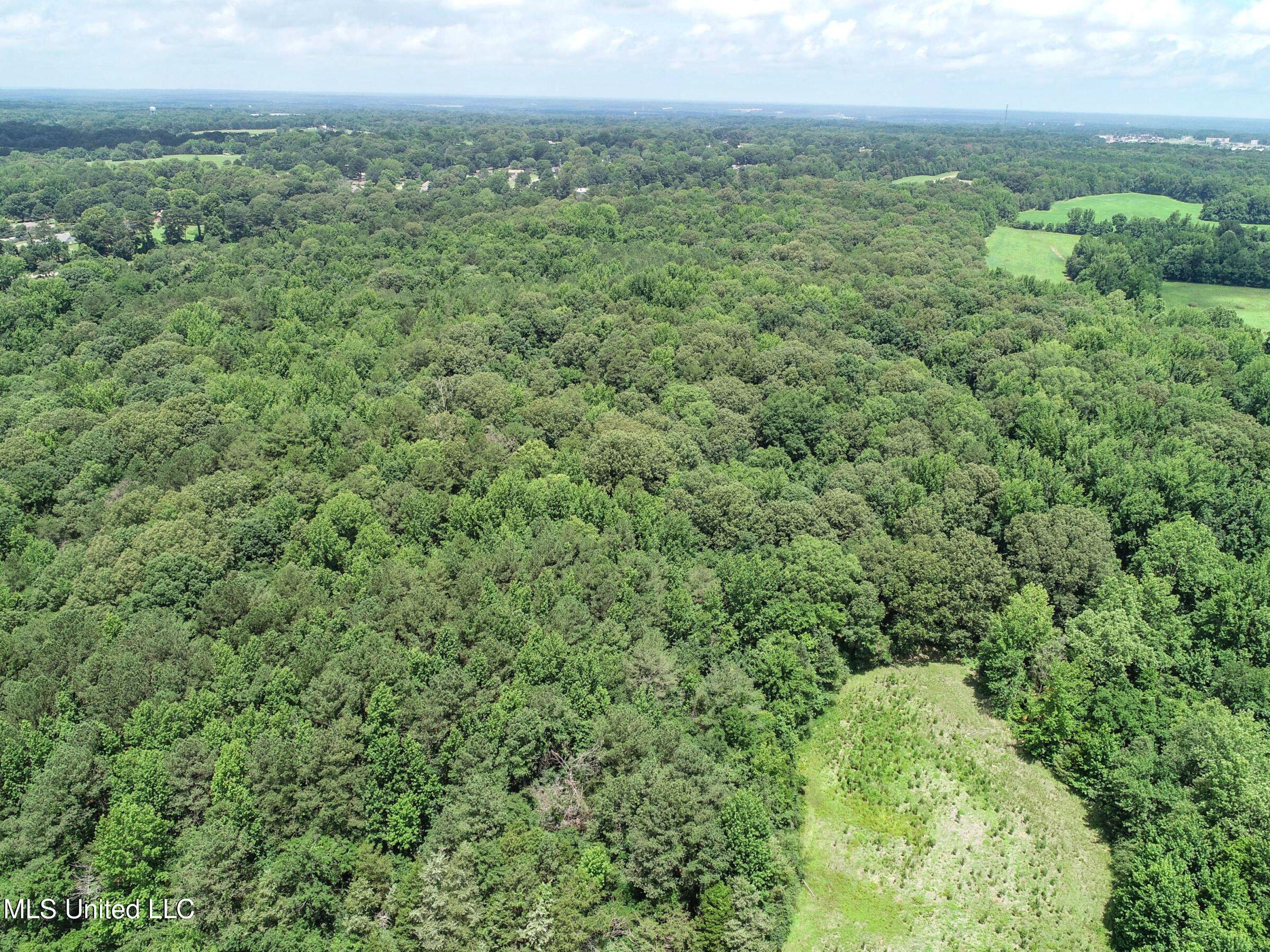 Pine Lodge Road Road Batesville, MS 38606 - Photo 30 of 99 3pleur16