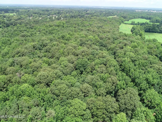 $688,880 | Pine Lodge Road Road, Batesville, MS 38606