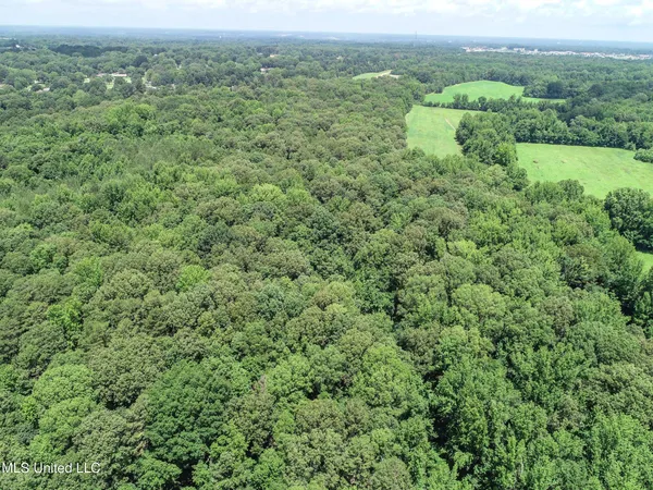 $688,880 | Pine Lodge Road Road, Batesville, MS 38606