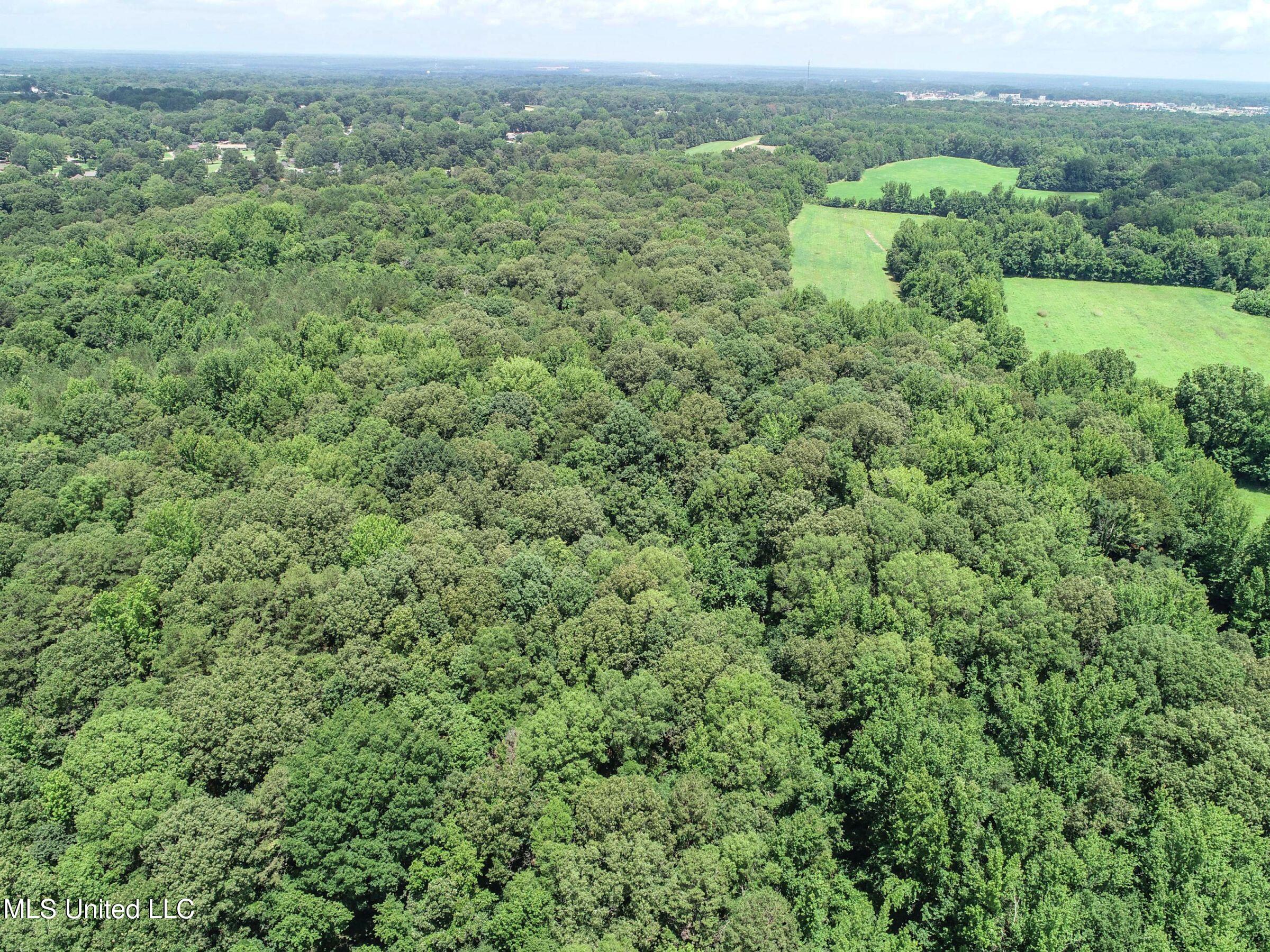 Pine Lodge Road Road Batesville, MS 38606 - Photo 32 of 99 3pleur18