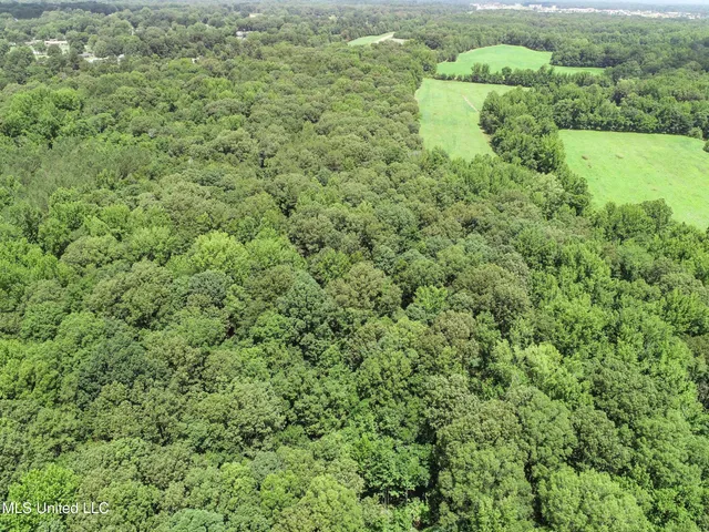 $688,880 | Pine Lodge Road Road, Batesville, MS 38606