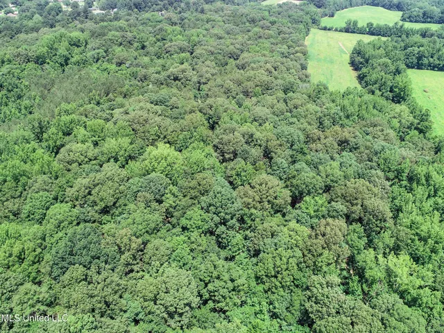 $688,880 | Pine Lodge Road Road, Batesville, MS 38606