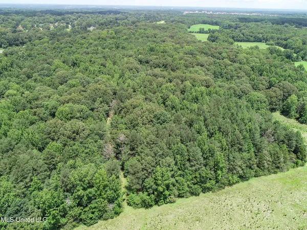 $688,880 | Pine Lodge Road Road, Batesville, MS 38606