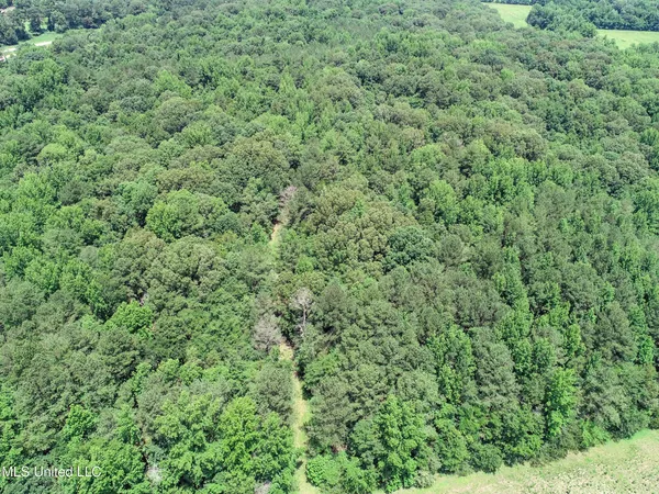 $688,880 | Pine Lodge Road Road, Batesville, MS 38606