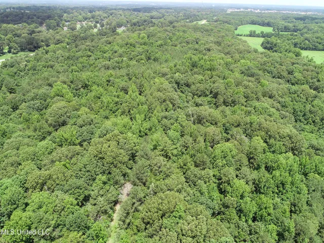 $688,880 | Pine Lodge Road Road, Batesville, MS 38606