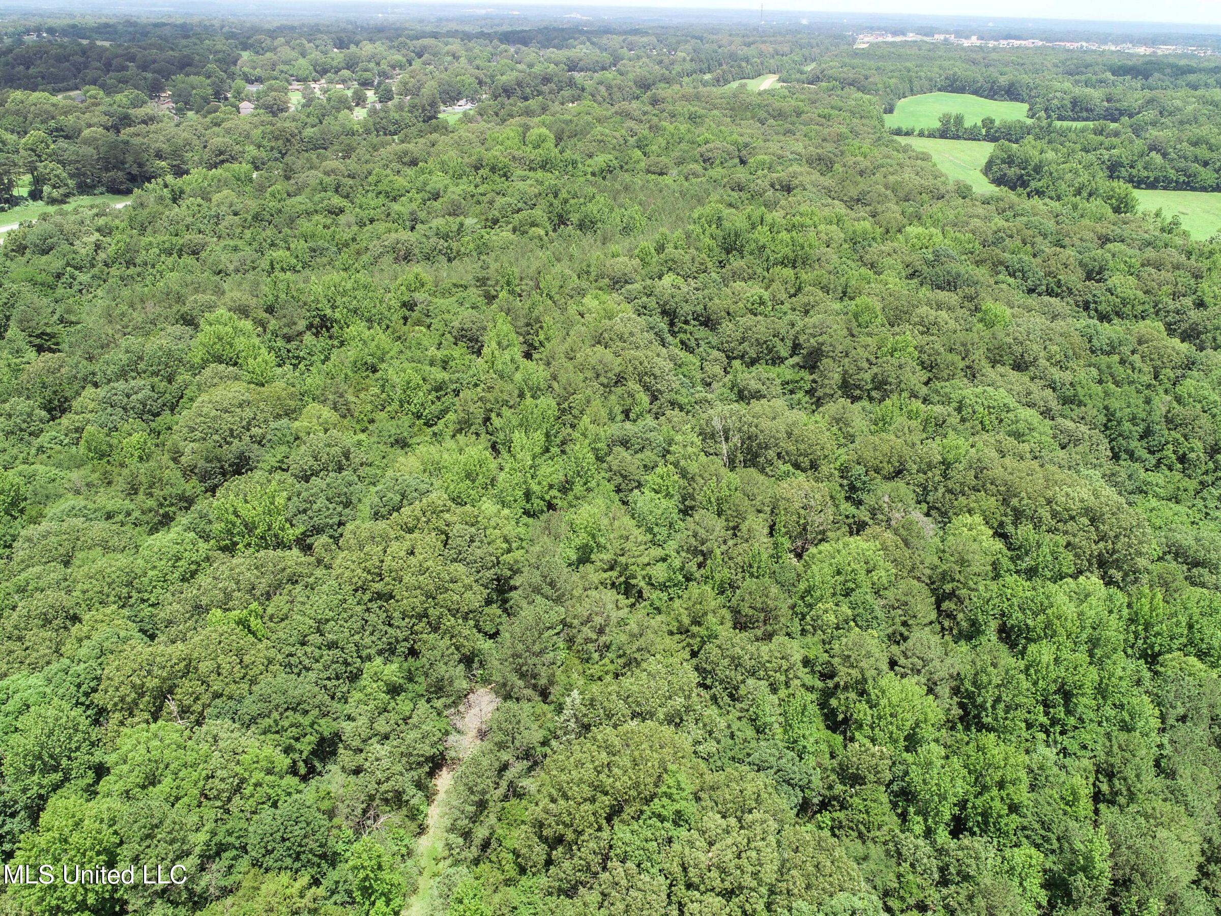Pine Lodge Road Road Batesville, MS 38606 - Photo 37 of 99 3pleur23
