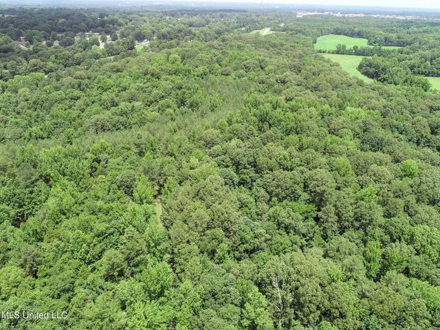 $688,880 | Pine Lodge Road Road, Batesville, MS 38606