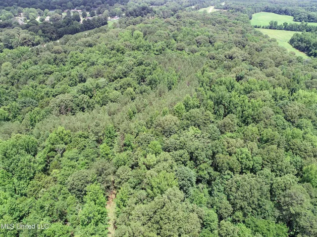 $688,880 | Pine Lodge Road Road, Batesville, MS 38606