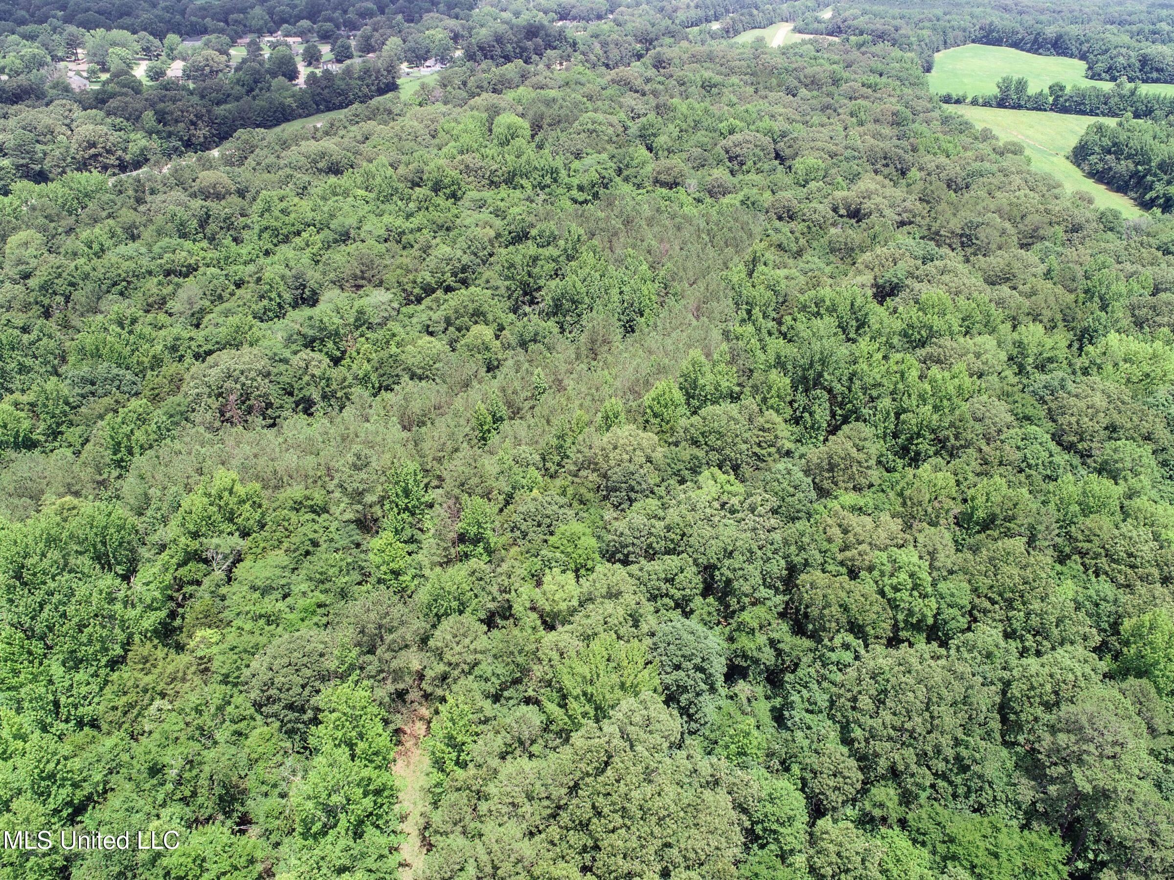 Pine Lodge Road Road Batesville, MS 38606 - Photo 39 of 99 3pleur25