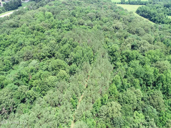 $688,880 | Pine Lodge Road Road, Batesville, MS 38606