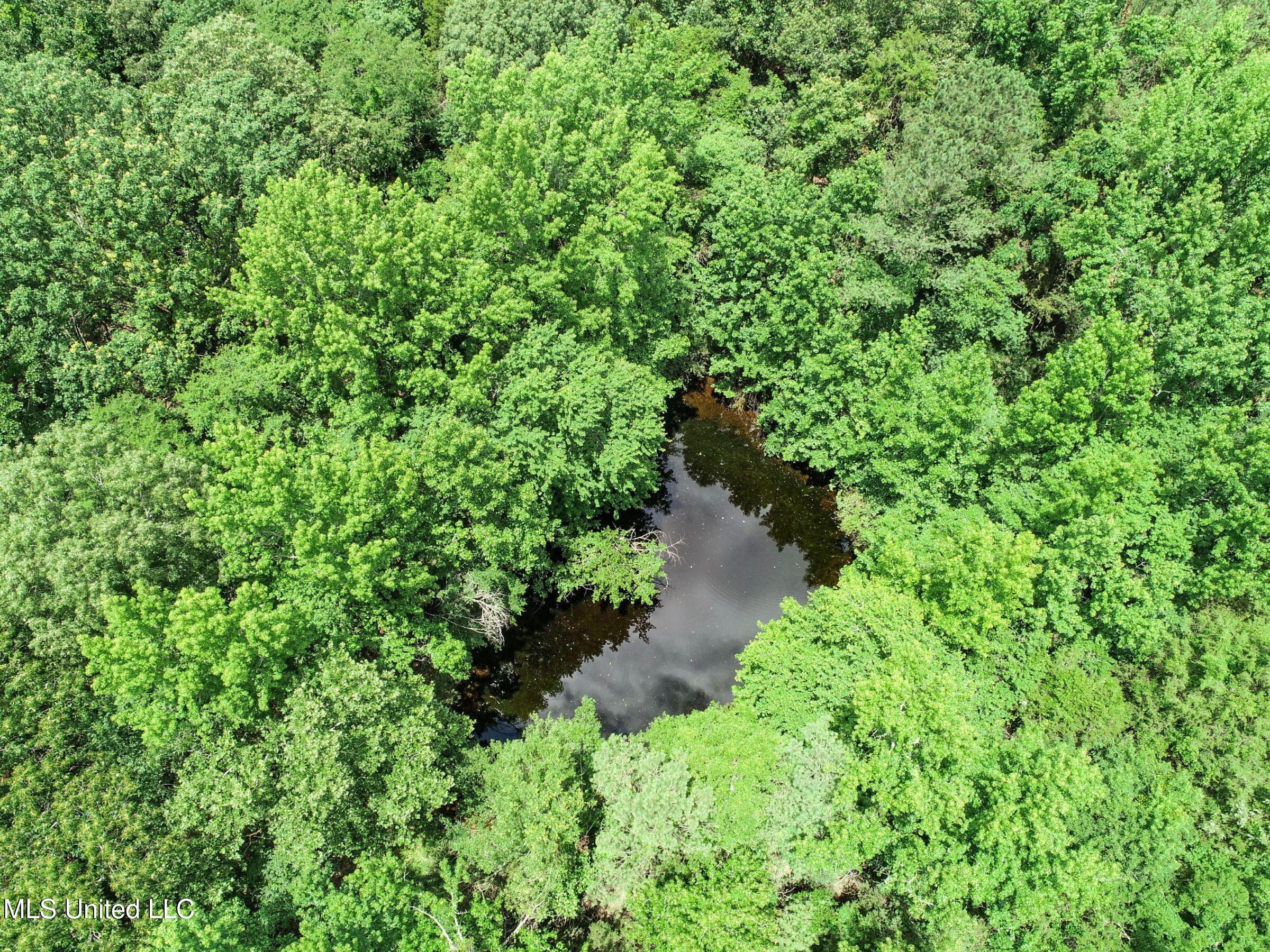 Pine Lodge Road Road Batesville, MS 38606 - Photo 42 of 99 3pleur28
