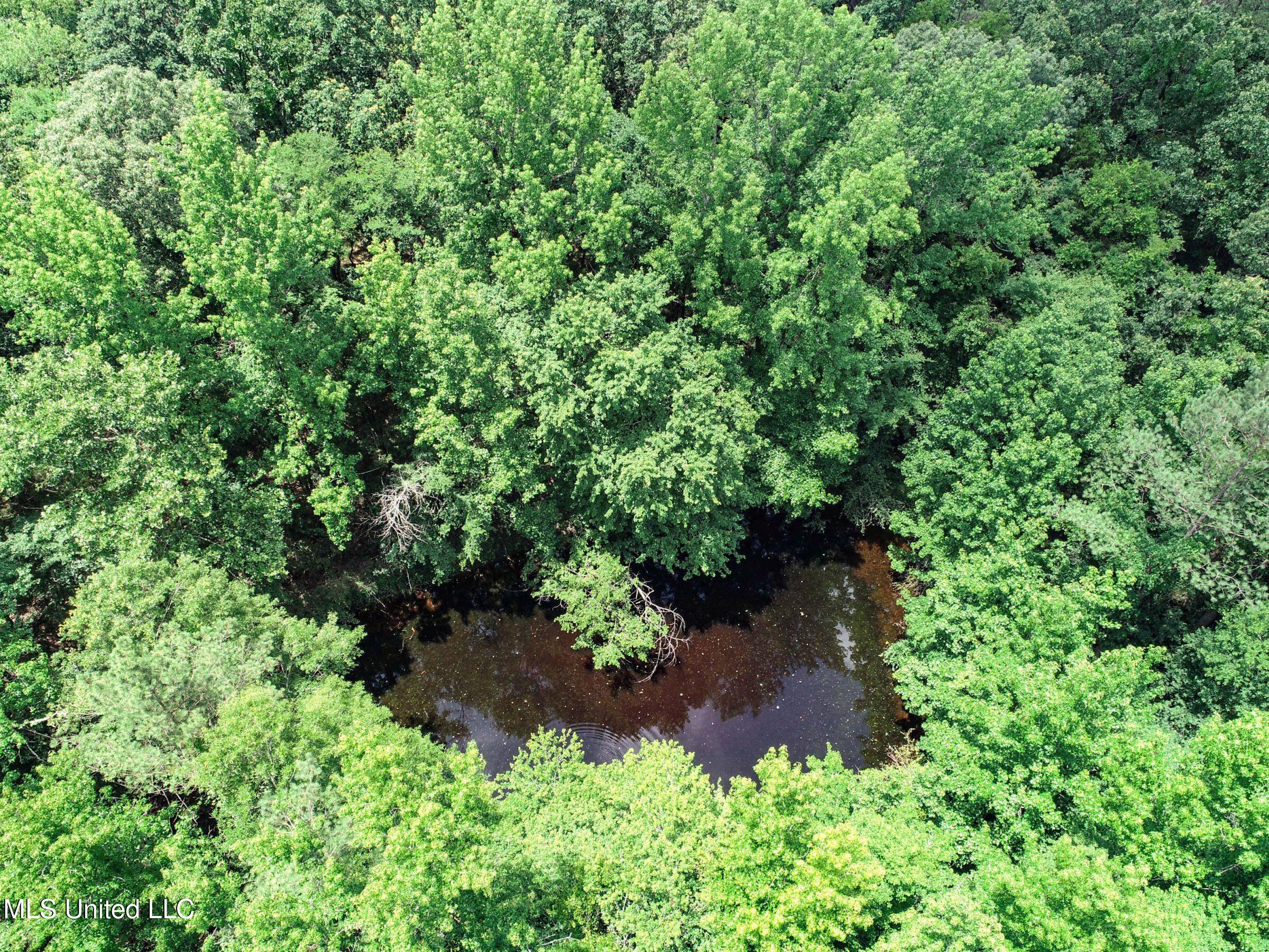 Pine Lodge Road Road Batesville, MS 38606 - Photo 43 of 99 3pleur29