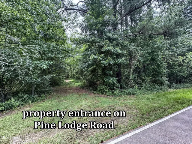$688,880 | Pine Lodge Road Road, Batesville, MS 38606