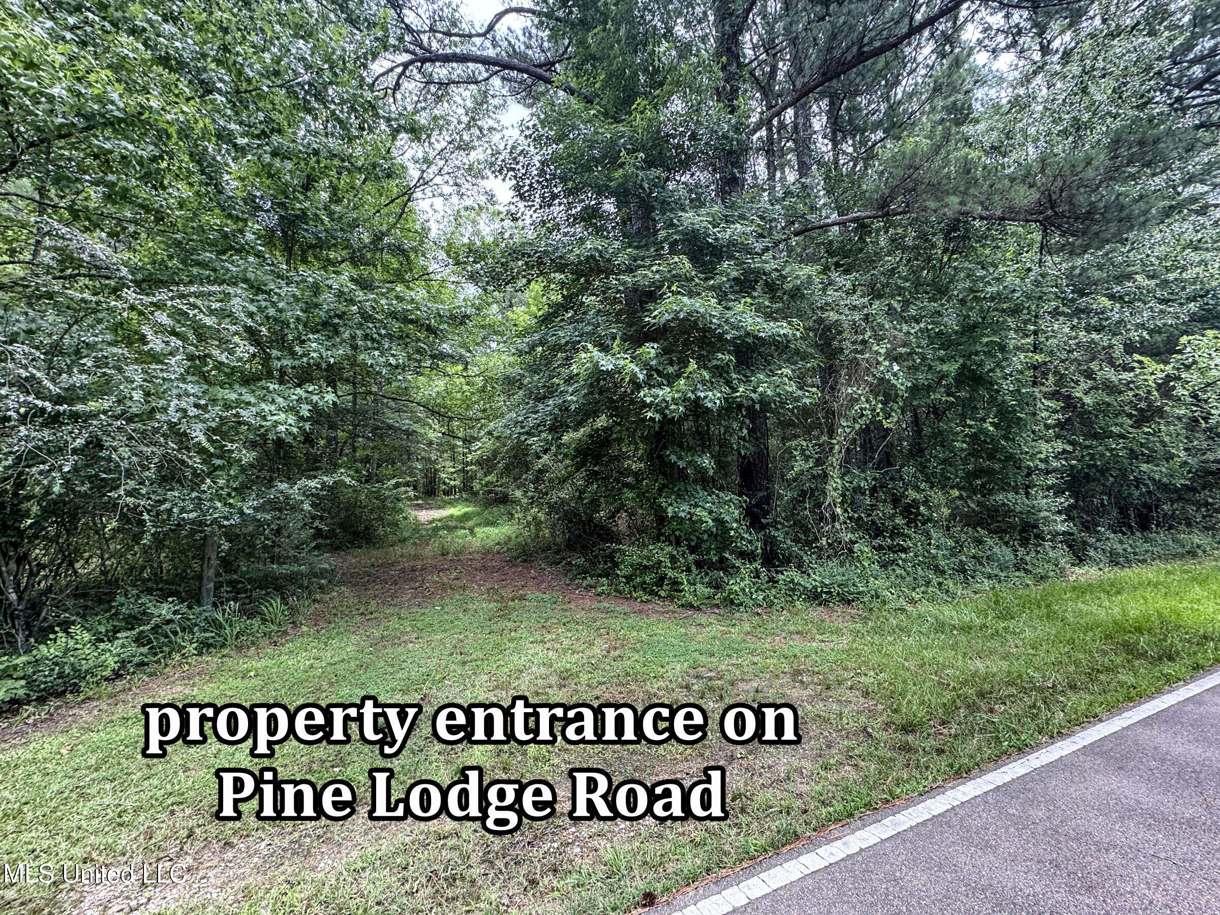 Pine Lodge Road Road Batesville, MS 38606 - Photo 45 of 99 4.1pleur10b