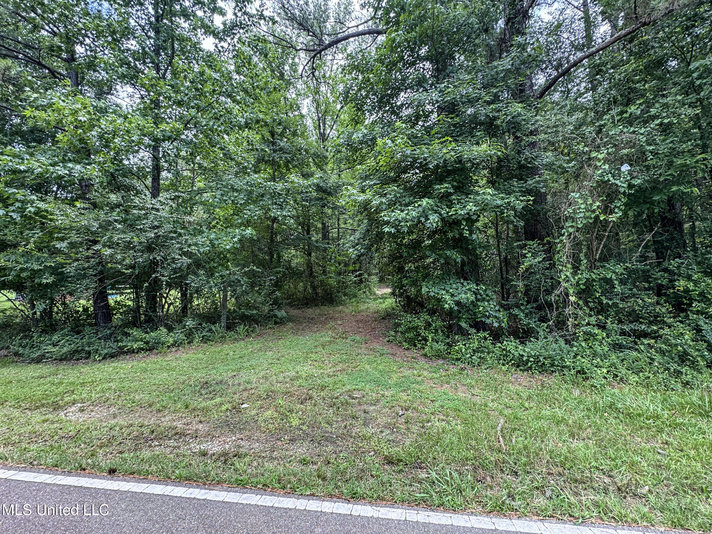 Pine Lodge Road Road Batesville, MS 38606 - Photo 46 of 99 4.1pleur9