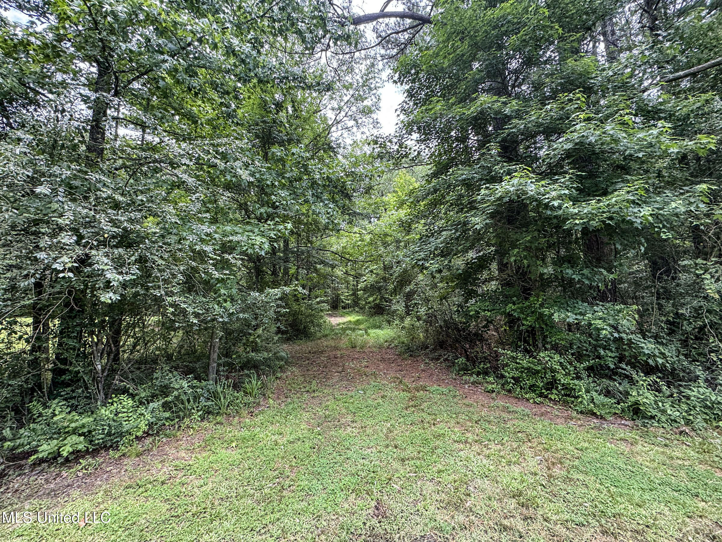 Pine Lodge Road Road Batesville, MS 38606 - Photo 47 of 99 4.1pleur11